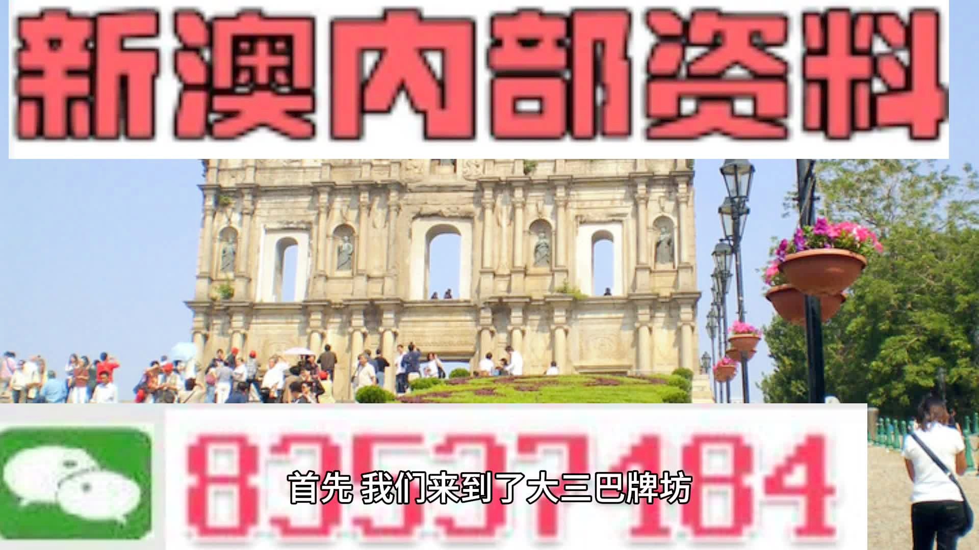 新澳2024今晚开奖资料查询与灵活性方案解析——交互式报告第51期