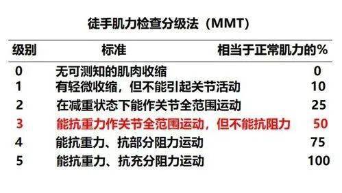 未来视角，新澳门六开奖结果与社交版互动策略评估及2024年开奖记录展望