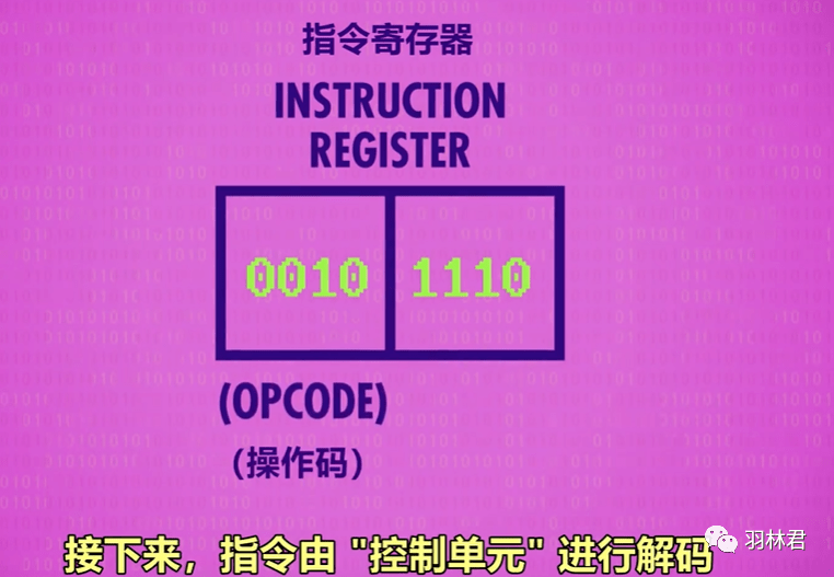 精准管家婆领航版，新时代魅力与免费体验探索