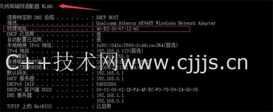 灵活设计操作方案体验版与香港马会开奖结果探讨