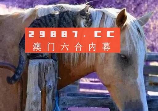 澳门必中一肖一码四不像深度解析与评估指南