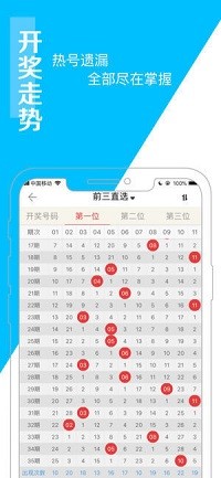 澳门最准王中王资料解析与高效实施方法——犯罪行为的警示与解析