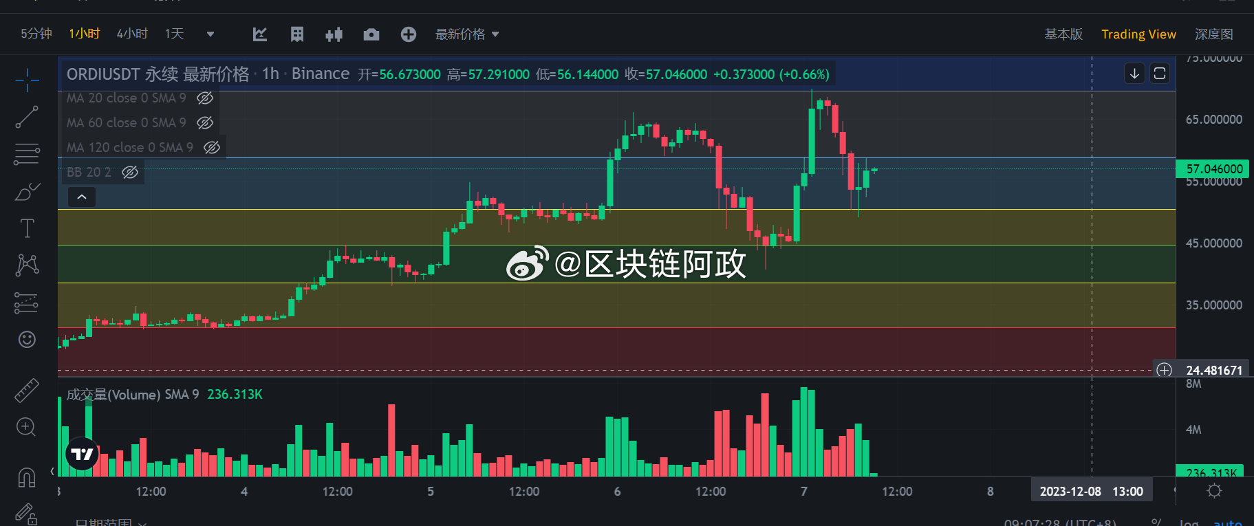 一肖一码100%命中解析与钻石版独特价值评估解析