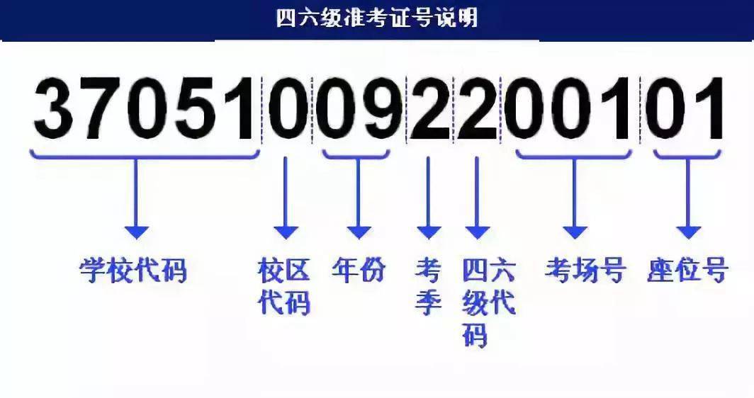 澳门资料大全与解答计划解析，警惕犯罪风险