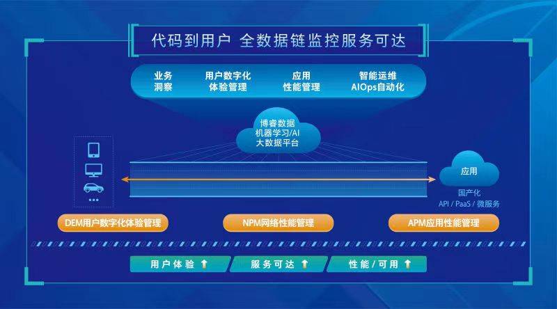 管家婆精准资料解析与数据策略深度探讨——C版第186期揭秘与策略解析