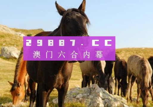 澳门四肖管家婆前沿解析背后的犯罪问题解析