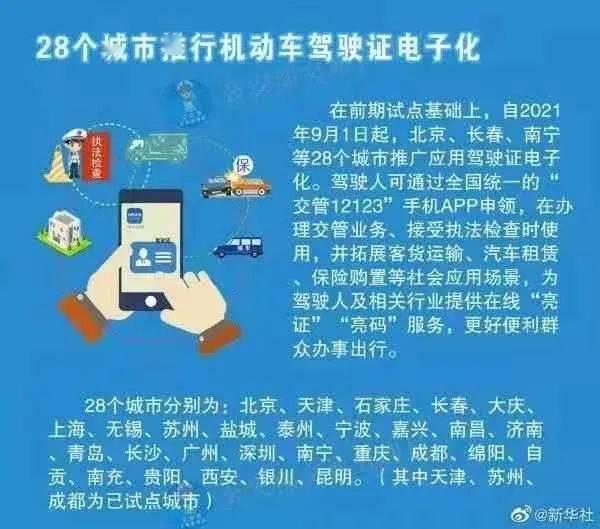 新管家婆一肖六码，挑战与应对策略探讨，款型38.846的解答策略实施挑战