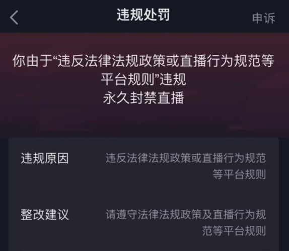 澳门诸葛亮直播开奖网站及其可靠性探讨，涉及违法犯罪问题的深度分析（VR44.17）