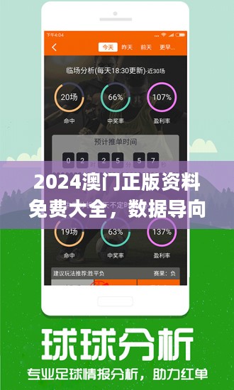 揭秘2024新奥正版资料获取途径与旗舰款深度剖析报告，实地评估解析数据全解析