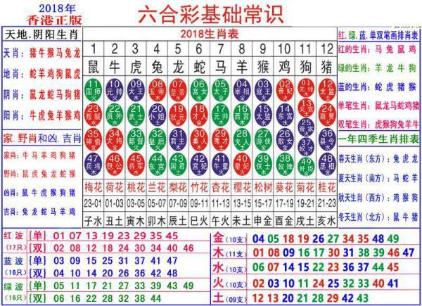 揭秘493333王中王开奖特色生肖卡，实地数据验证与策略解析指南