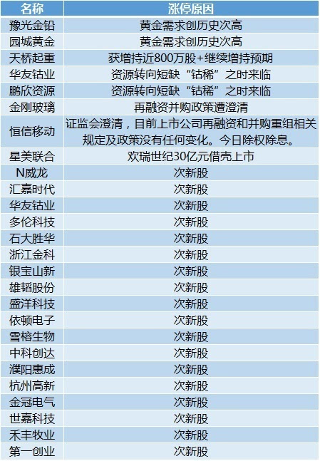 2024年11月26日 第11页