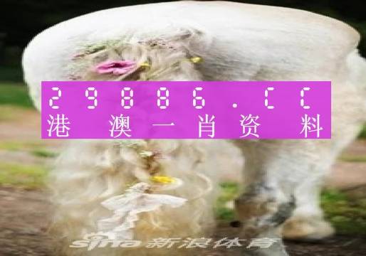 澳门最准一肖一码四不像与AR版94.390深度探索及诠释分析定义