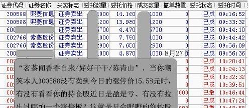 新澳门王中王期期中，以tool10.868引领深入执行数据方案的探索