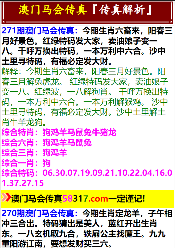 马会传真解读，澳门与PT69.738的专家观点分析