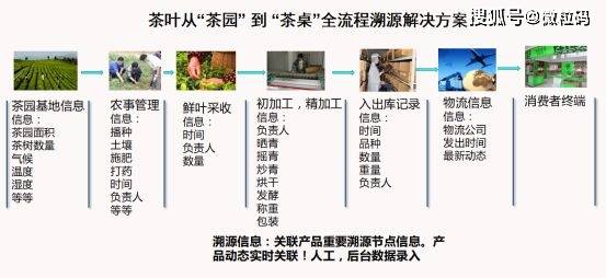 澳门一码一肖精准预测与策略解析，风险警示及违法犯罪探讨