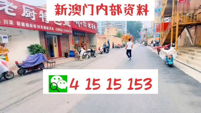 澳门彩票背后的数据应用挑战，Plus57.366案例分析与深层揭秘